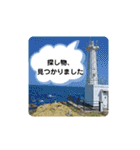 毎日使える、お楽しみいっぱい動物（個別スタンプ：23）