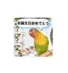 毎日使える、お楽しみいっぱい動物（個別スタンプ：24）