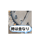 毎日使える、お楽しみいっぱい動物（個別スタンプ：37）