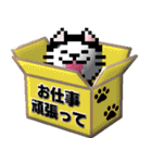 puku_bit(プクビット) 毎日使える猫さん（個別スタンプ：15）