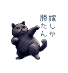 嫁を褒める黒猫旦那【夫婦・嫁・ねこ】（個別スタンプ：27）