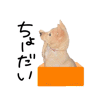 愛しい犬 タイガ（個別スタンプ：25）