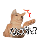 愛しい犬 タイガ（個別スタンプ：36）