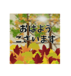 【飛び出す】敬語でご挨拶【秋の気配】（個別スタンプ：1）