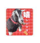 除草隊のかわいこちゃんすたんぴ♪（個別スタンプ：1）