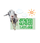 除草隊のかわいこちゃんすたんぴ♪（個別スタンプ：2）