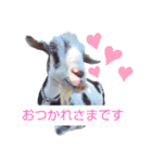 除草隊のかわいこちゃんすたんぴ♪（個別スタンプ：4）