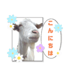 除草隊のかわいこちゃんすたんぴ♪（個別スタンプ：5）
