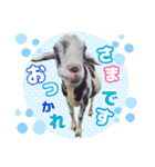 除草隊のかわいこちゃんすたんぴ♪（個別スタンプ：6）