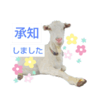 除草隊のかわいこちゃんすたんぴ♪（個別スタンプ：8）