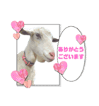 除草隊のかわいこちゃんすたんぴ♪（個別スタンプ：9）