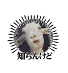 除草隊のかわいこちゃんすたんぴ♪（個別スタンプ：10）