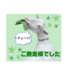 除草隊のかわいこちゃんすたんぴ♪（個別スタンプ：12）