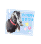 除草隊のかわいこちゃんすたんぴ♪（個別スタンプ：15）