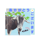除草隊のかわいこちゃんすたんぴ♪（個別スタンプ：16）