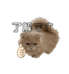 えれんの猫すたんぷ（個別スタンプ：6）
