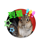 みんなと一緒28（個別スタンプ：3）