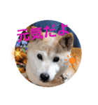 みんなと一緒28（個別スタンプ：4）