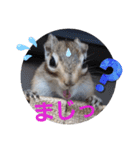 みんなと一緒28（個別スタンプ：5）