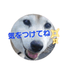 みんなと一緒28（個別スタンプ：7）