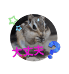 みんなと一緒28（個別スタンプ：12）