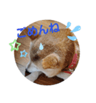 みんなと一緒28（個別スタンプ：16）