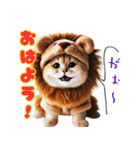 にゃんこぬいぐるみコレクション（個別スタンプ：1）