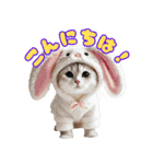 にゃんこぬいぐるみコレクション（個別スタンプ：2）