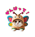 にゃんこぬいぐるみコレクション（個別スタンプ：19）