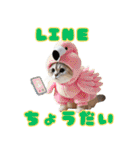 にゃんこぬいぐるみコレクション（個別スタンプ：25）