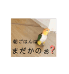 しろぴの日常（個別スタンプ：14）