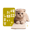 ねこさん♡毎日使える【秋冬】（個別スタンプ：13）