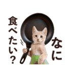 ねこさん♡毎日使える【秋冬】（個別スタンプ：19）