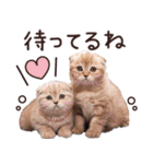 ねこさん♡毎日使える【秋冬】（個別スタンプ：29）