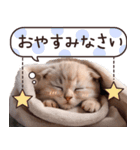 ねこさん♡毎日使える【秋冬】（個別スタンプ：31）