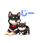 黒柴親子（クロ＆クロマメ）のほんわか日常（個別スタンプ：15）