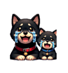 黒柴親子（クロ＆クロマメ）のほんわか日常（個別スタンプ：19）
