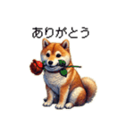 【ドット絵】柴犬40セット（個別スタンプ：3）