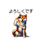 【ドット絵】柴犬40セット（個別スタンプ：5）