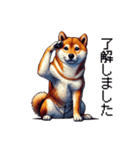 【ドット絵】柴犬40セット（個別スタンプ：6）