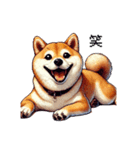 【ドット絵】柴犬40セット（個別スタンプ：8）