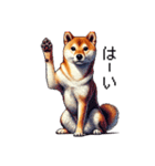 【ドット絵】柴犬40セット（個別スタンプ：9）