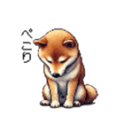 【ドット絵】柴犬40セット（個別スタンプ：10）