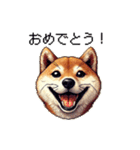 【ドット絵】柴犬40セット（個別スタンプ：13）