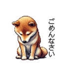 【ドット絵】柴犬40セット（個別スタンプ：14）