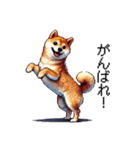 【ドット絵】柴犬40セット（個別スタンプ：15）