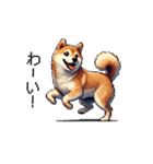 【ドット絵】柴犬40セット（個別スタンプ：17）