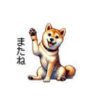 【ドット絵】柴犬40セット（個別スタンプ：18）