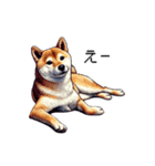 【ドット絵】柴犬40セット（個別スタンプ：19）