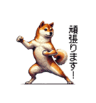 【ドット絵】柴犬40セット（個別スタンプ：20）